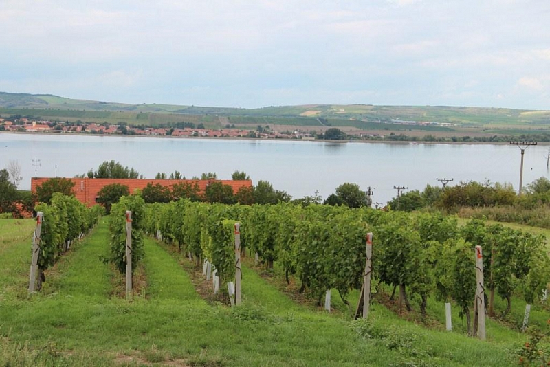 Vodní nádrž Nové Mlýny