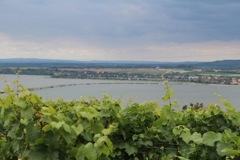 Vodní nádrž Nové Mlýny