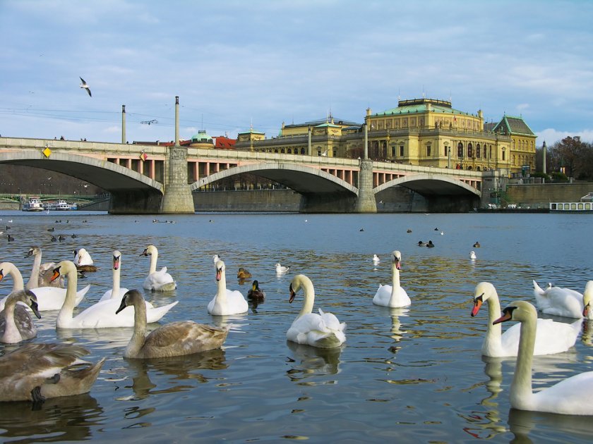 Čechův most Praha
