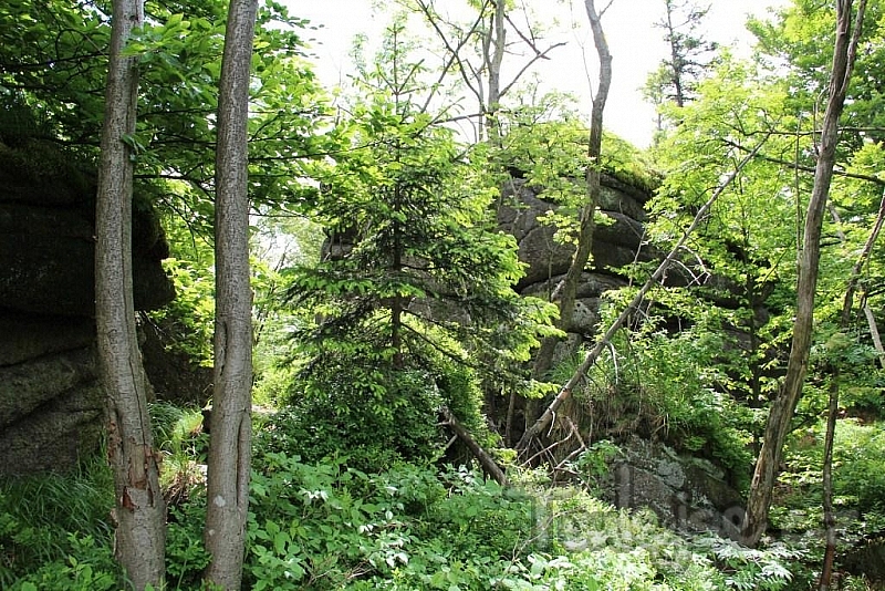 Jizera Mountains - mountains