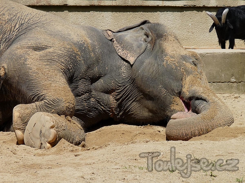 Jizera Mountains - mountains