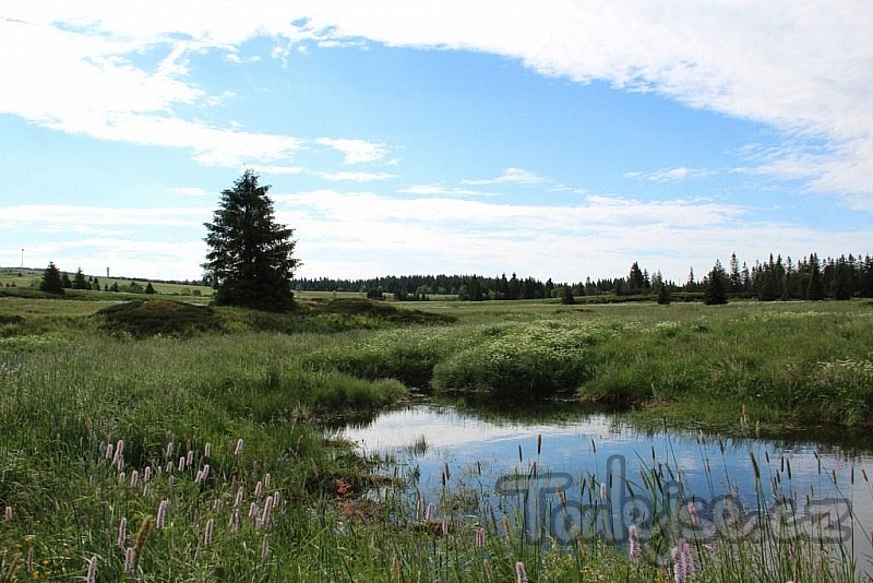 Ore Mountains - mountains