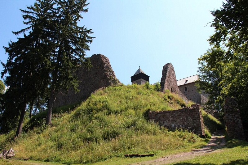 Castle Litice