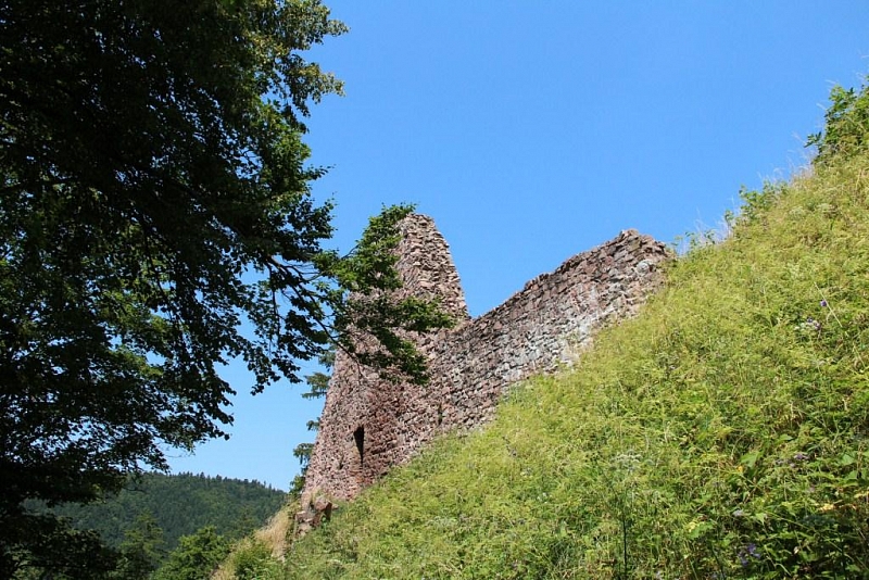Burg Litice