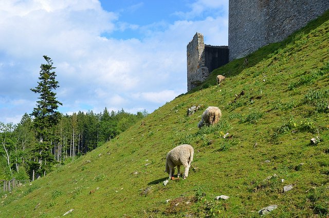 Po stopách nedobytného hradu Kašperk