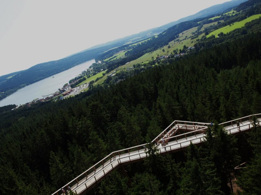 Stezka v korunách stromů