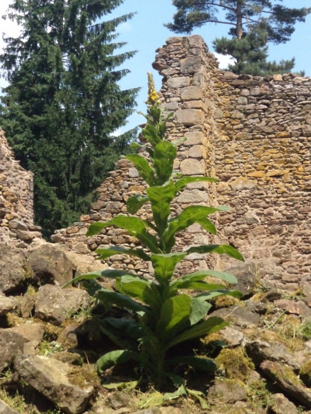 Kostel sv. Bartoloměje - místo tichého rozjímání