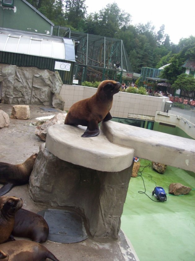 Dobrodružná ZOO Liberec