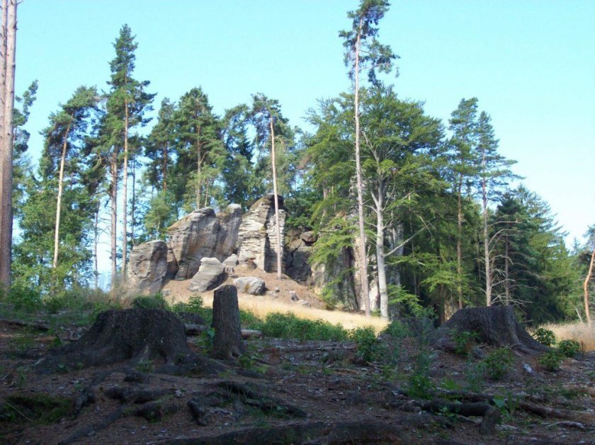 Jaké milé překvapení nás čekalo za chalupou