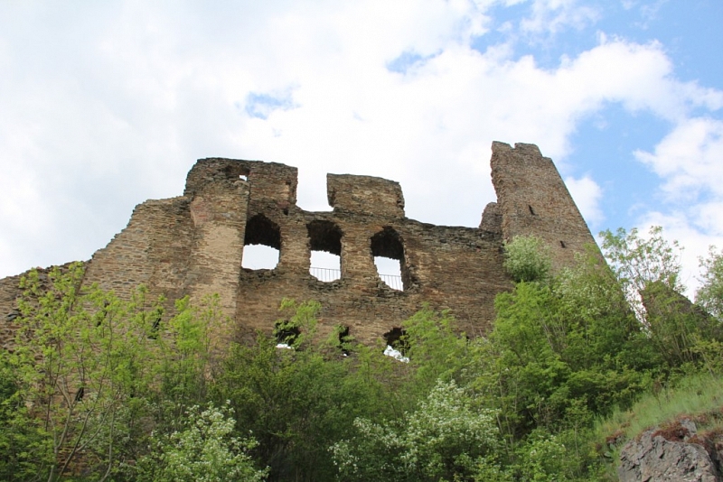 Burg Okoř