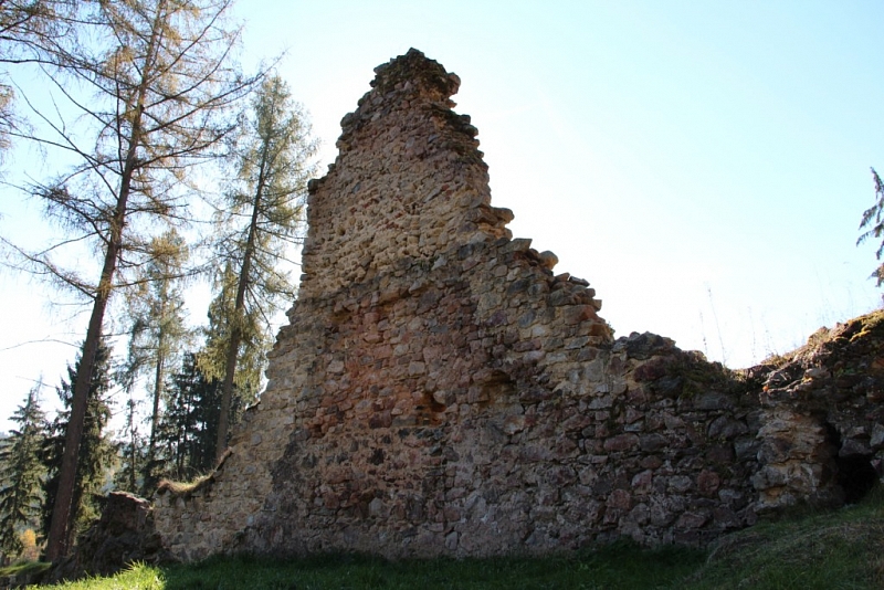 Burgruine Pořešín