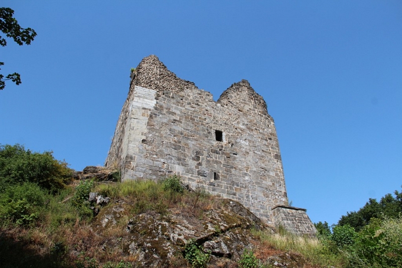 Přimda (zřícenina)