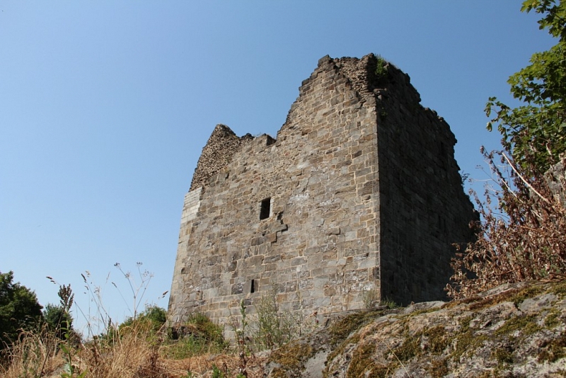 Přimda (zřícenina)