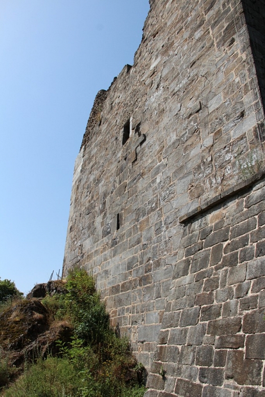 Přimda (zřícenina)