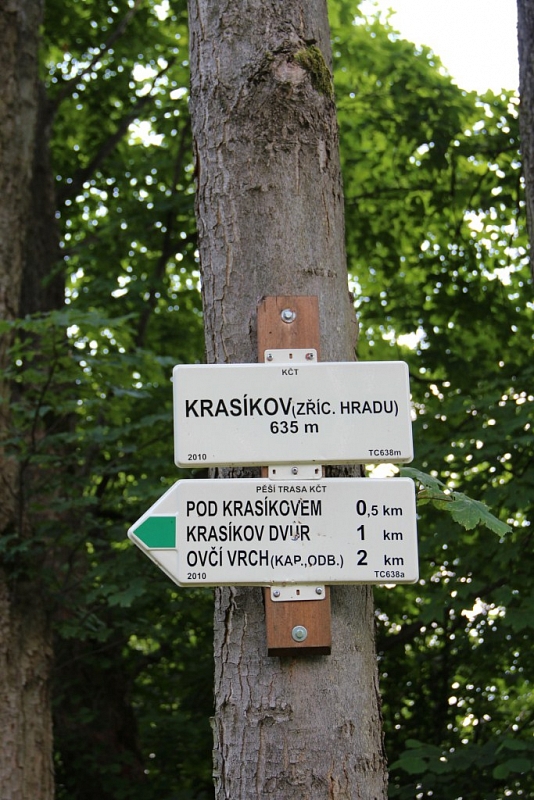 Švamberk (zřícenina)