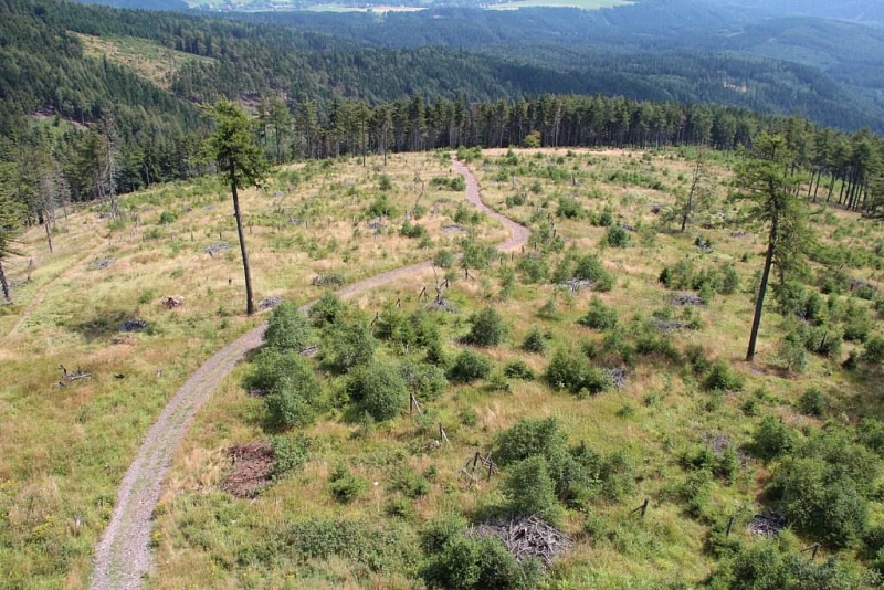 Lookout tower on Ruprechtický Špičák
