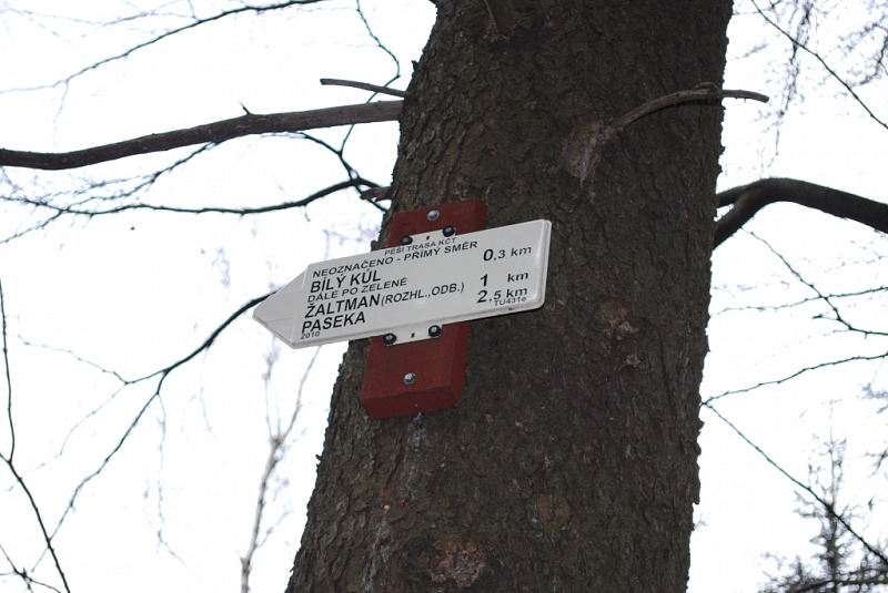 Rozhledna Žaltman v Jestřábích horách