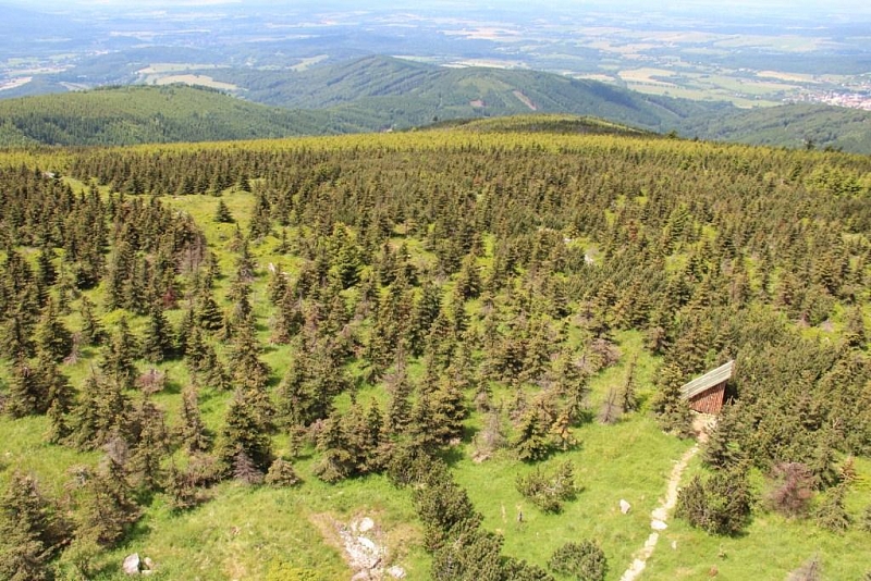 Aussichtsturm auf Smrk in den Jizera-Bergen