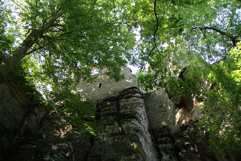Valdštejn (hrad)