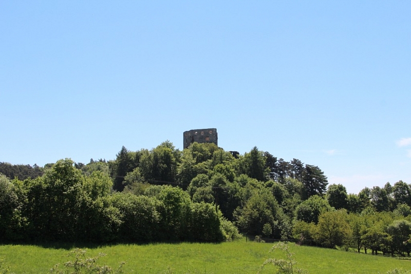 Castle Ruins Valečov