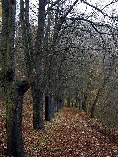 Svatý Jan pod Skalou