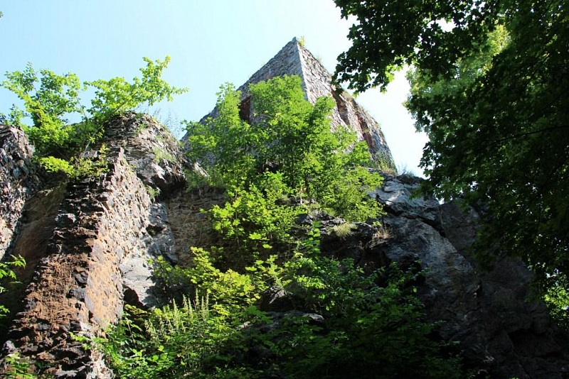 Vlčtejn (ruins)