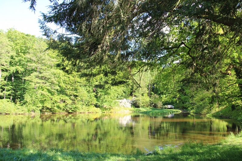 Vrchotovy Janovice (chateau)