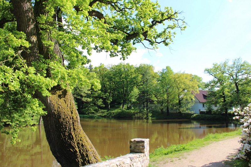 Vrchotovy Janovice (chateau)