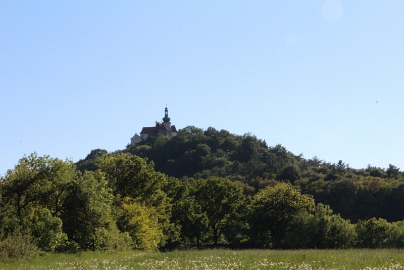 Vysoký Chlumec (hrad)