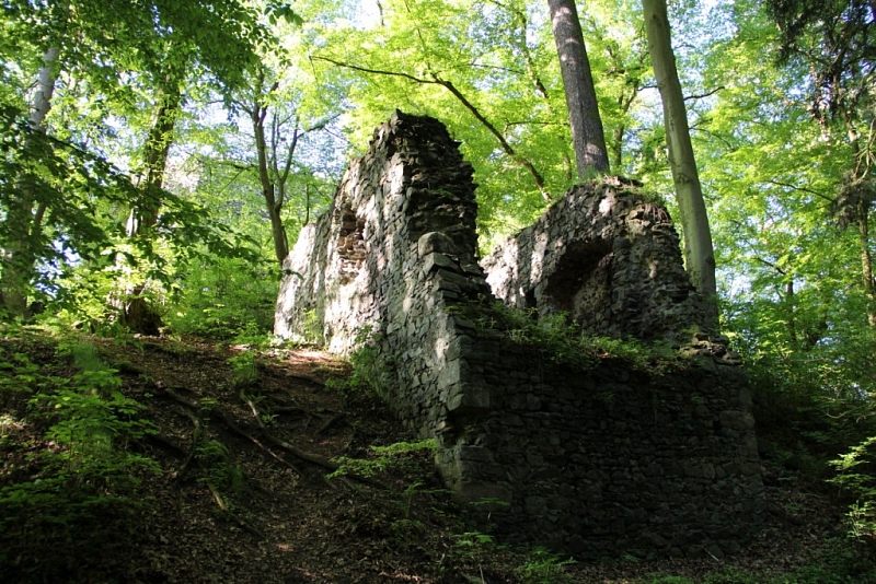 Burg Zbořený Kostelec