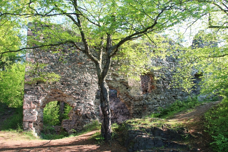 Zbořený Kostelec (zřícenina)