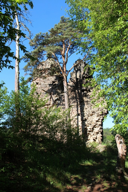 Zbořený Kostelec (zřícenina)