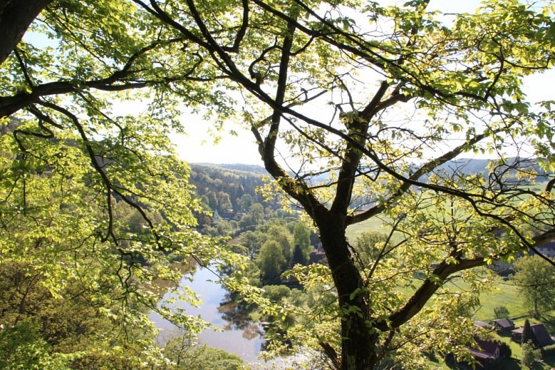 Zbořený Kostelec (zřícenina)