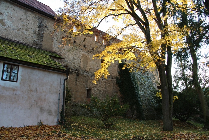 Zvíkov (hrad)