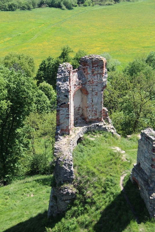 The ruins of the castle Zvířetice
