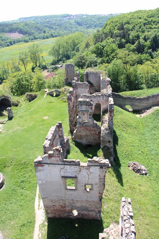 The ruins of the castle Zvířetice
