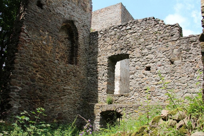 Choustník (zřícenina)