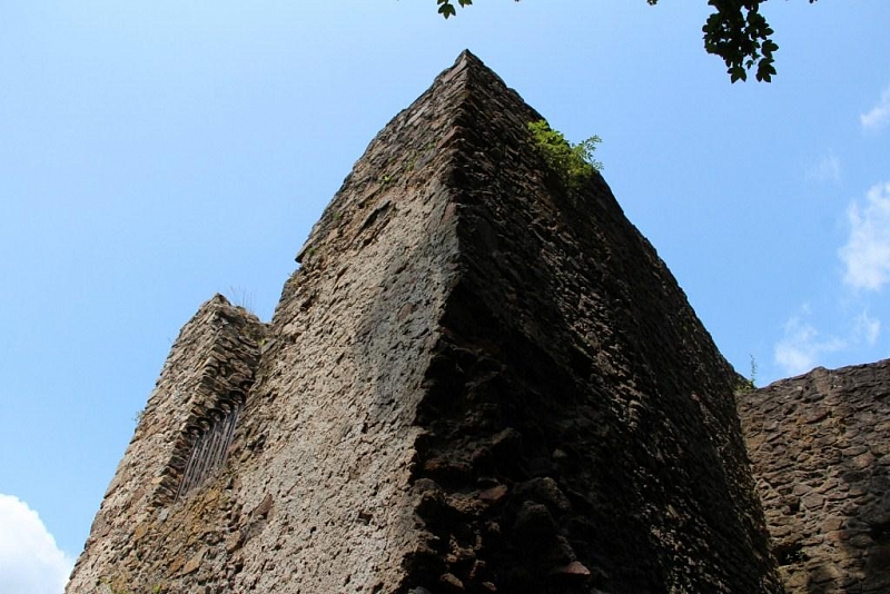 Choustník (zřícenina)