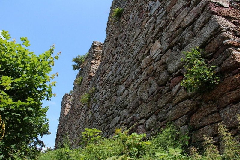 Choustník (zřícenina)