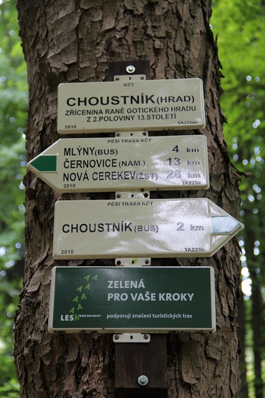 Choustník (zřícenina)