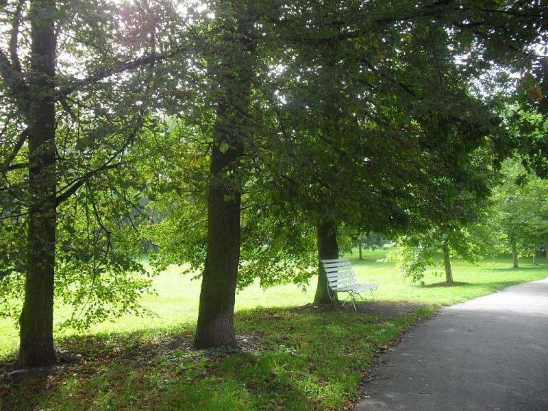 With children on a trip to Stromovka in České Budějovice