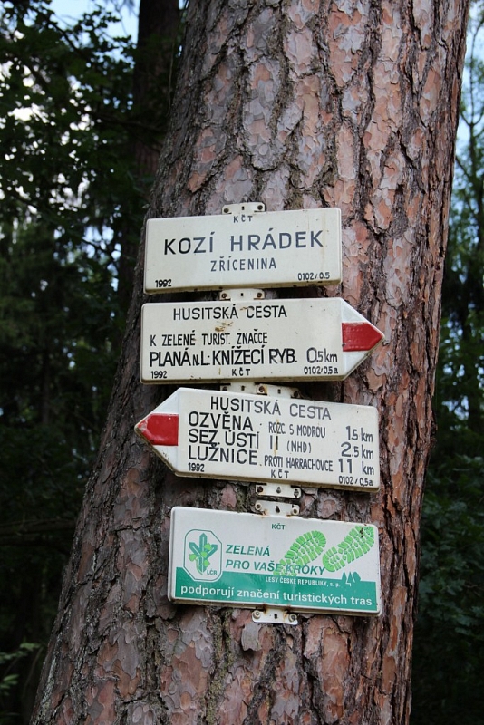 Kozí Hrádek (ruins)