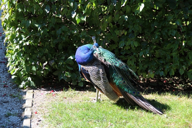 Schloss Kratochvíle