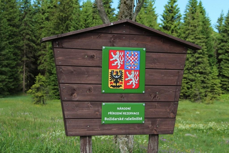 Boží Dar moss