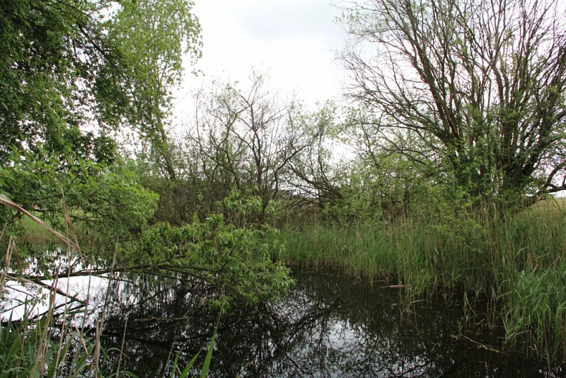 Hrabanovská černava