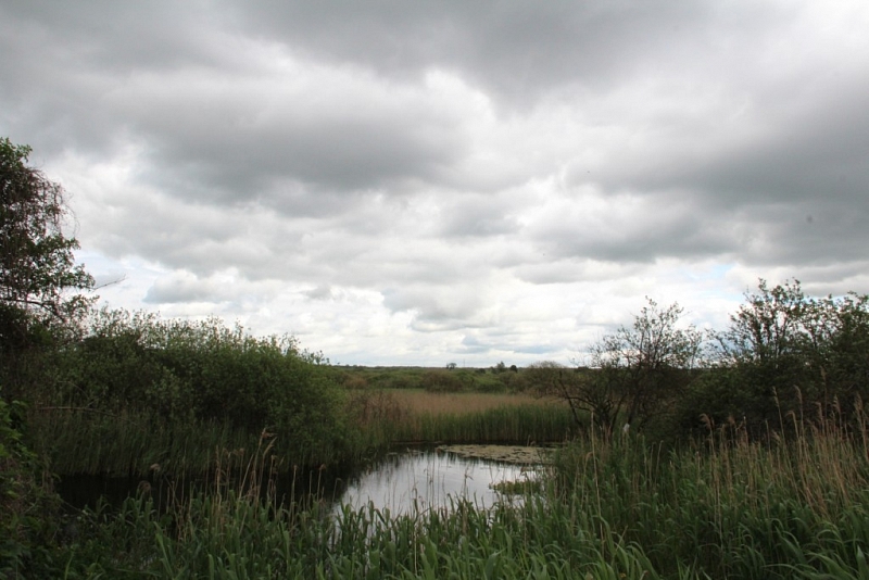 Hrabanovská černava