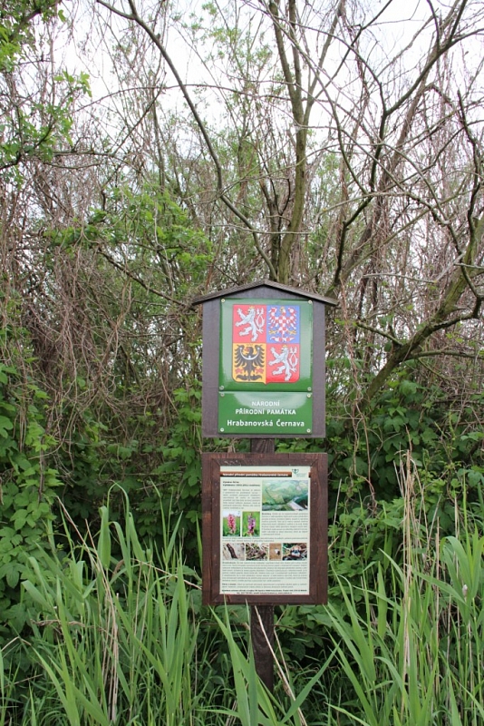 Hrabanovská černava