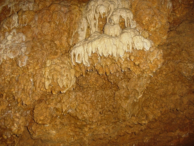 Javoříčské caves