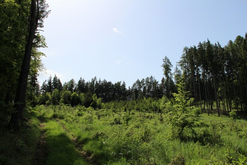 Lavičky - Kosova Berg