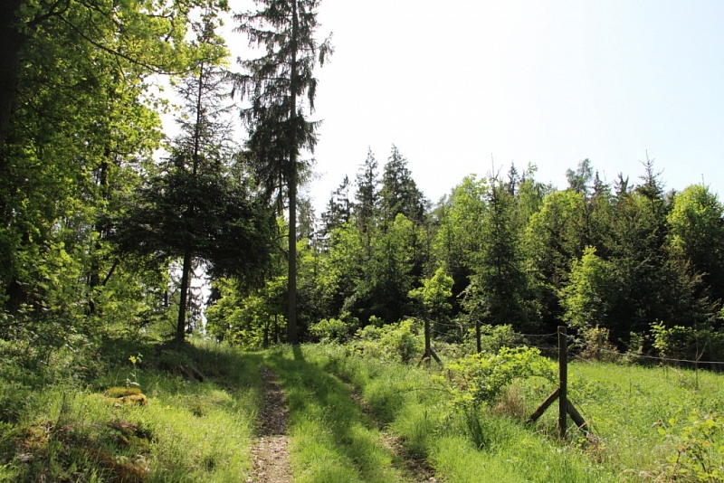 Lavičky - Kosova Berg